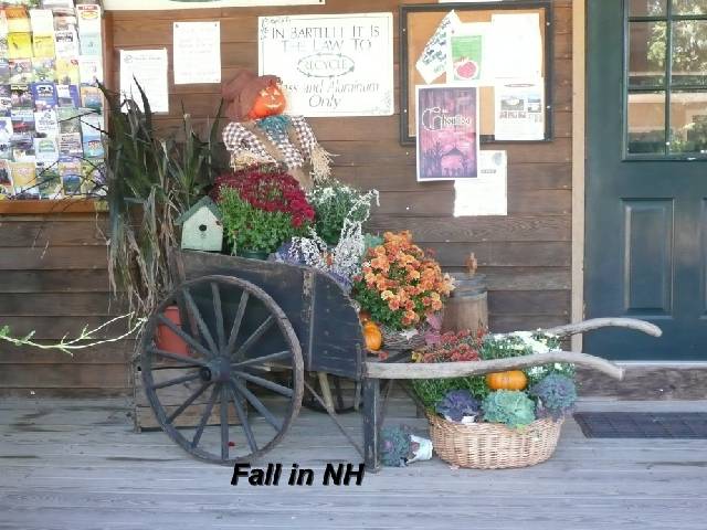 Fall Decoration